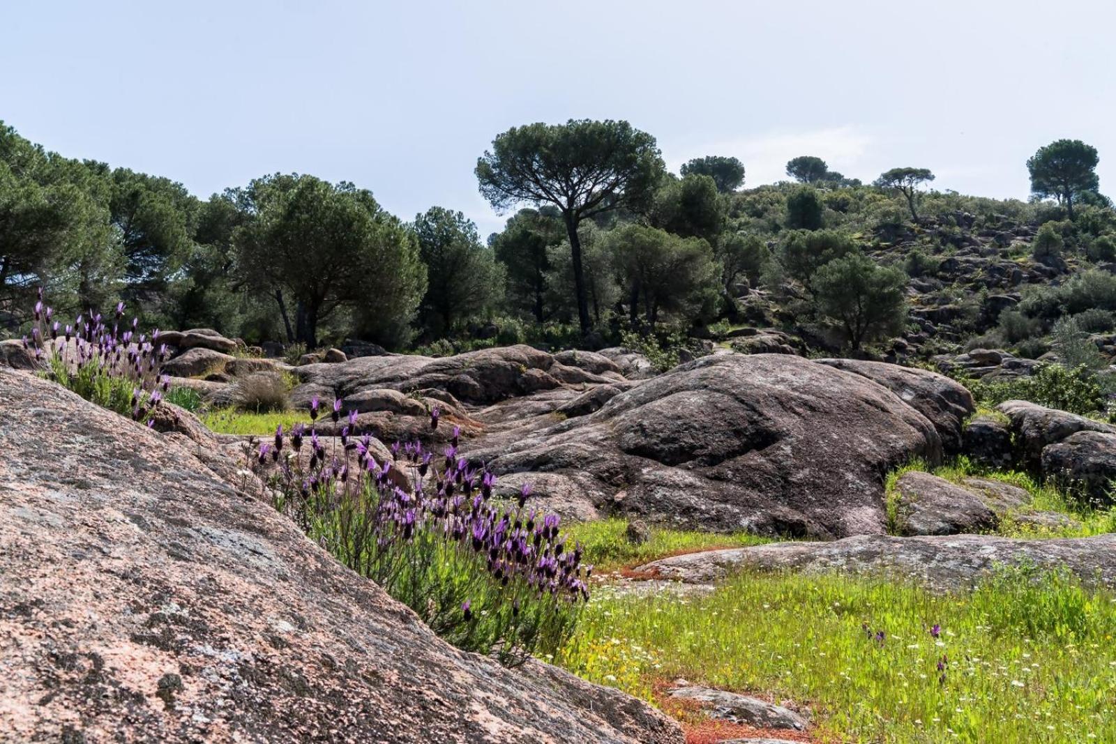 Casa El Paraiso Del Lago Alojamiento Rural Cordova Esterno foto